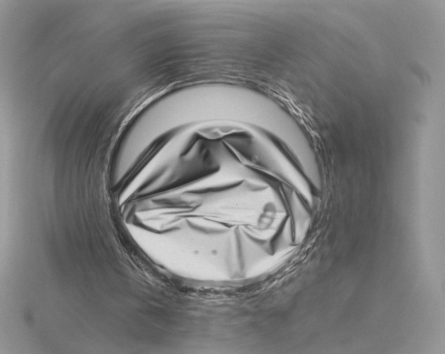 X0000115640146200912081111