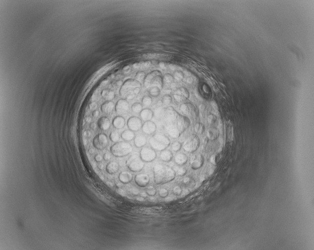 X0000115640147200912081111