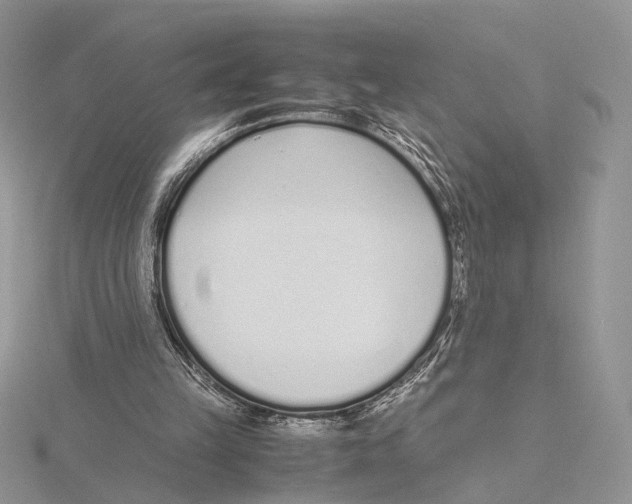 X0000115640149200912081111