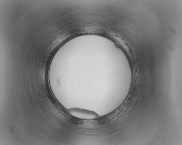 X0000115640154200912081111