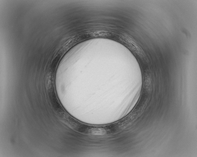 X0000115640169200912081112