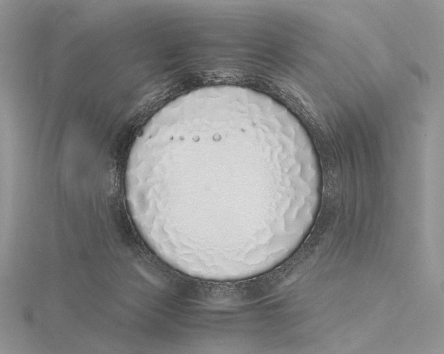X0000115640173200912081112