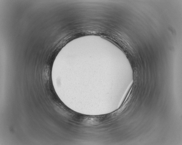 X0000115640174200912081112