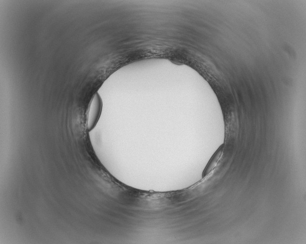X0000115640186200912081112