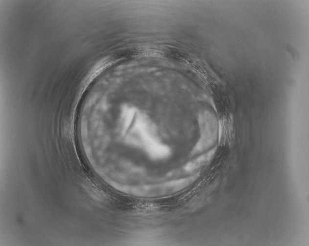X0000115640195200912081111
