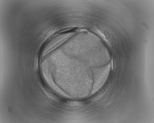 X0000115640205200912081111