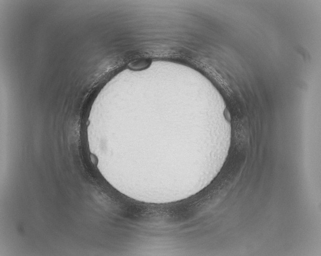 X0000115640207200912081111