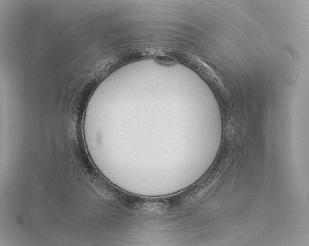 X0000115640209200912081111