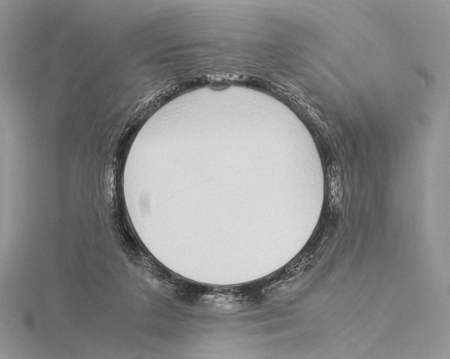 X0000115640211200912081111