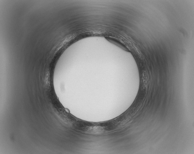 X0000115640212200912081111