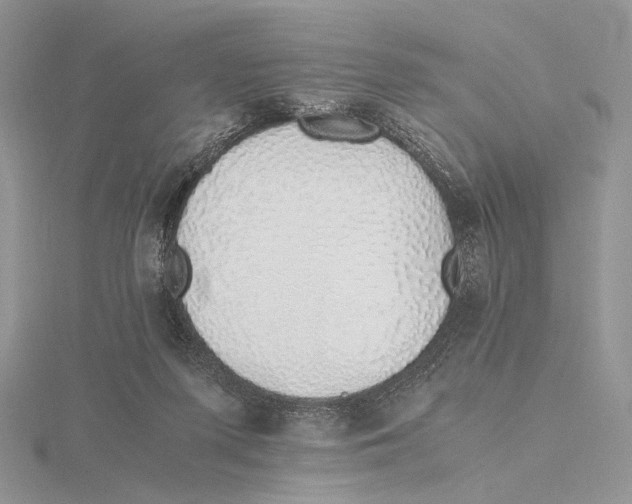 X0000115640215200912081111