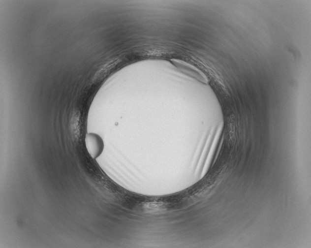 X0000115640216200912081111
