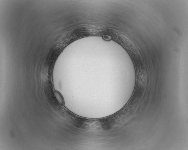 X0000115640221200912081111