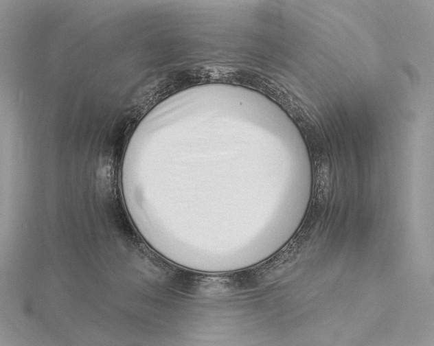 X0000115640222200912081111