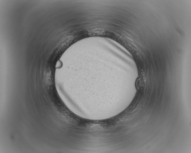 X0000115640224200912081111