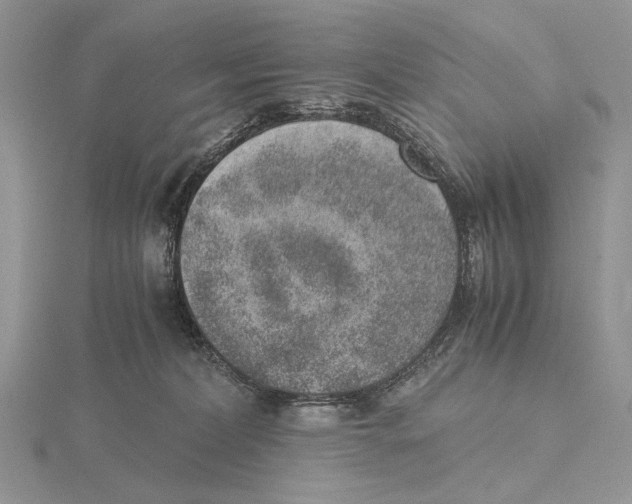X0000115640228200912081111
