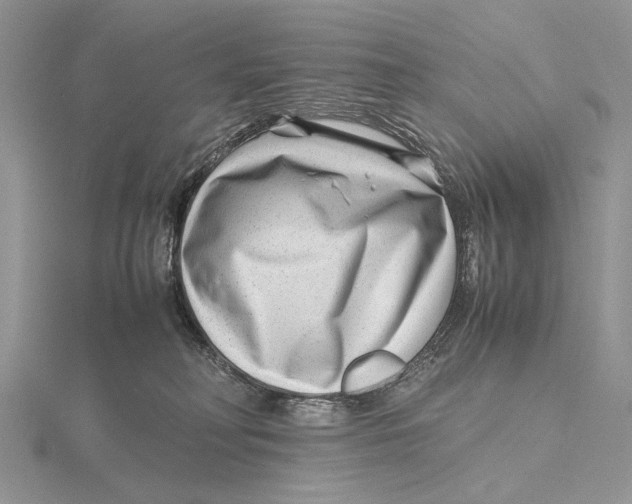 X0000115640230200912081111