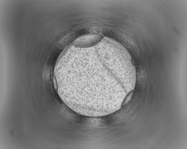 X0000115640233200912081111