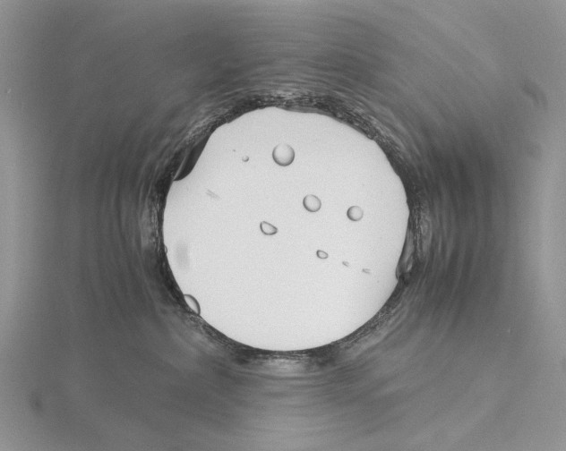 X0000115640236200912081111