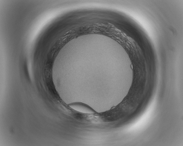 X0000115640239200912081111