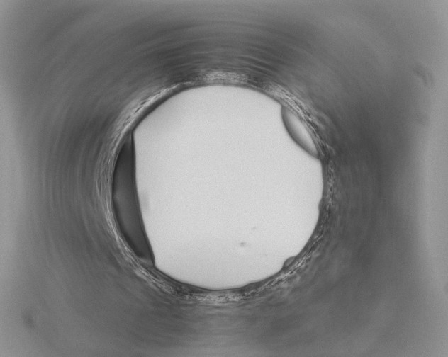 X0000115640241200912081110