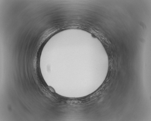 X0000115640242200912081110