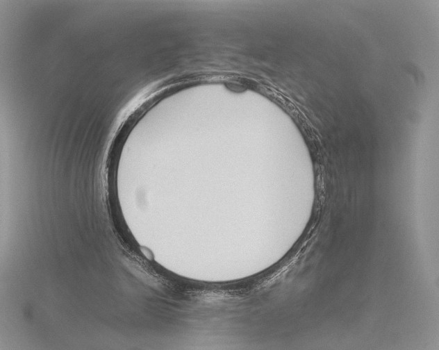 X0000115640246200912081110