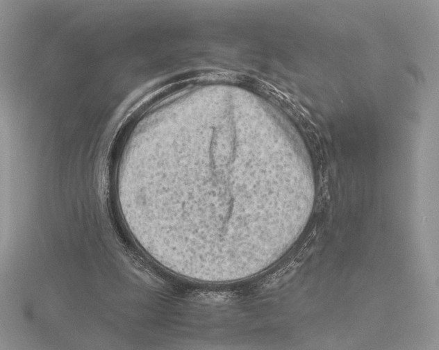 X0000115640247200912081110