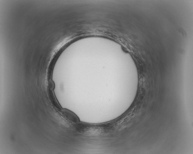 X0000115640248200912081110