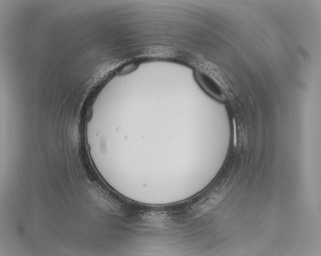 X0000115640252200912081110