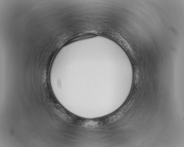 X0000115640257200912081110