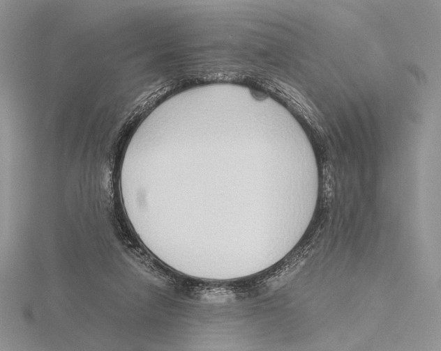X0000115640258200912081110