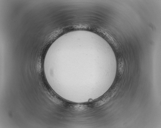 X0000115640261200912081110