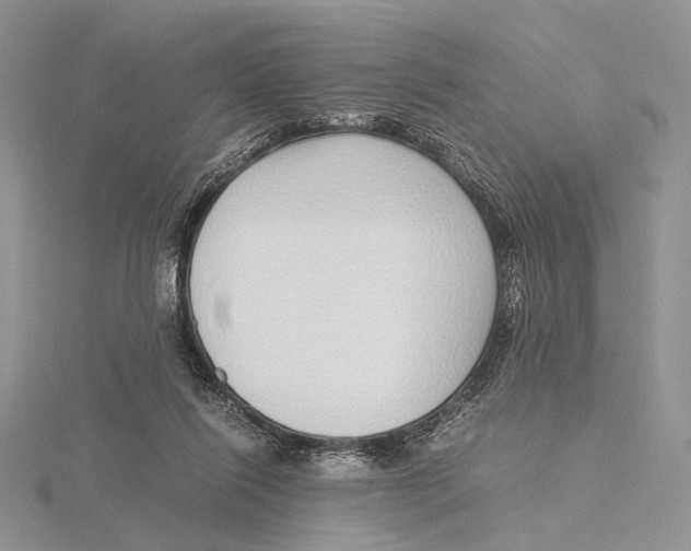 X0000115640262200912081110