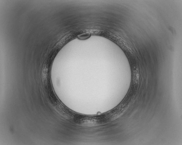 X0000115640263200912081110