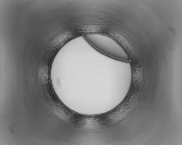 X0000115640264200912081110
