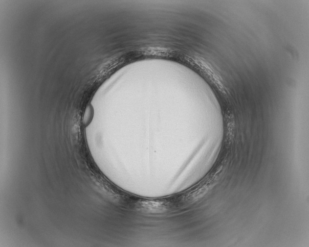 X0000115640265200912081110