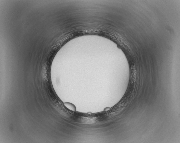 X0000115640266200912081110