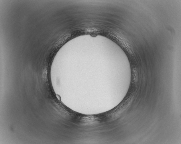 X0000115640269200912081110