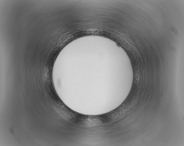 X0000115640270200912081110