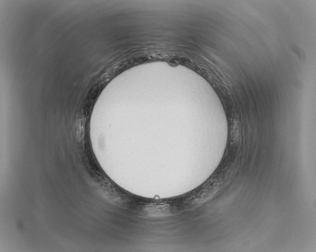 X0000115640271200912081110