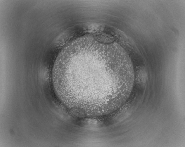 X0000115640272200912081110