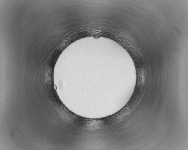 X0000115640274200912081110