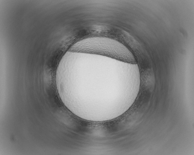 X0000115640276200912081110
