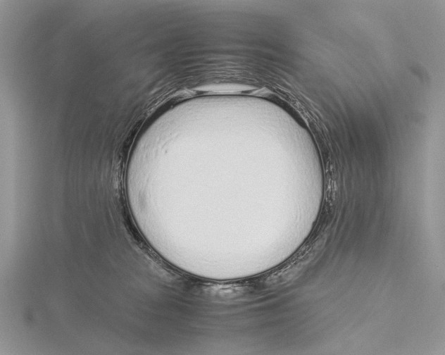 X0000115640277200912081110