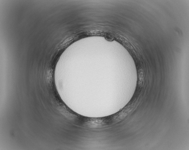X0000115640278200912081110