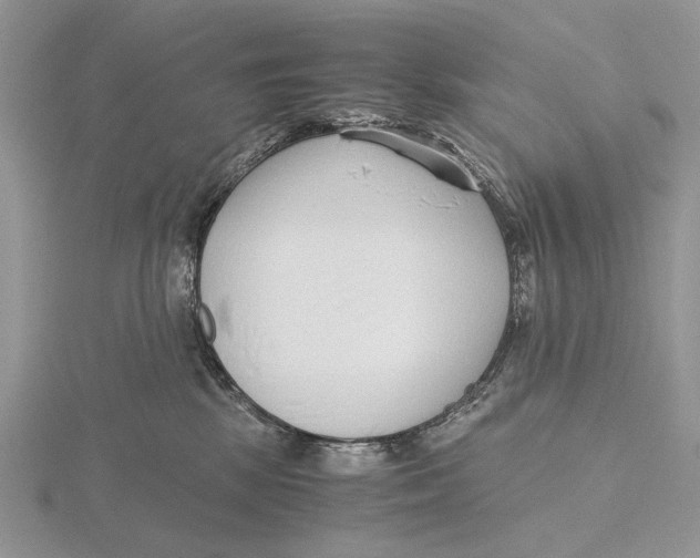 X0000115640281200912081110
