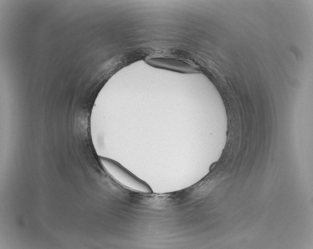 X0000115640288200912081110