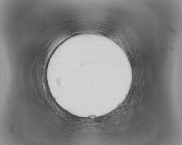 X0000115640289200912081110