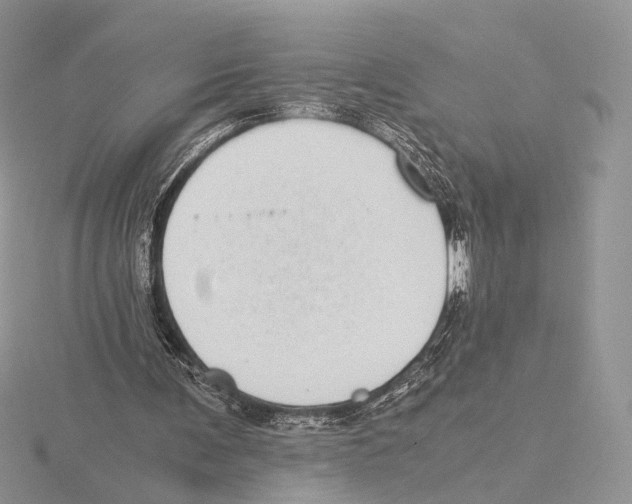 X0000115640291200912081110